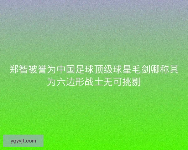 郑智被誉为中国足球顶级球星毛剑卿称其为六边形战士无可挑剔